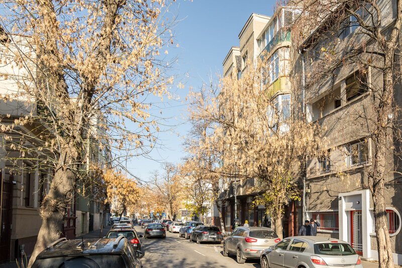 Cismigiu, Piata Victoriei, comision 0%, vila interbelica, curte libera 362 mp